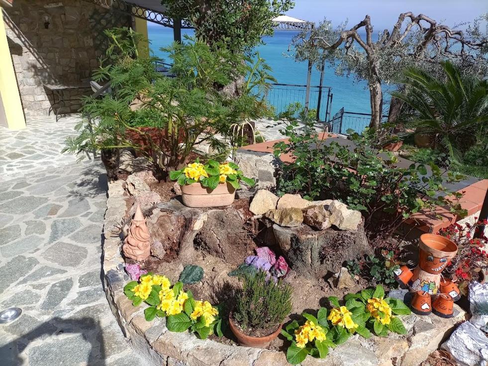 Bed & Breakfast Nido Sul Mare *